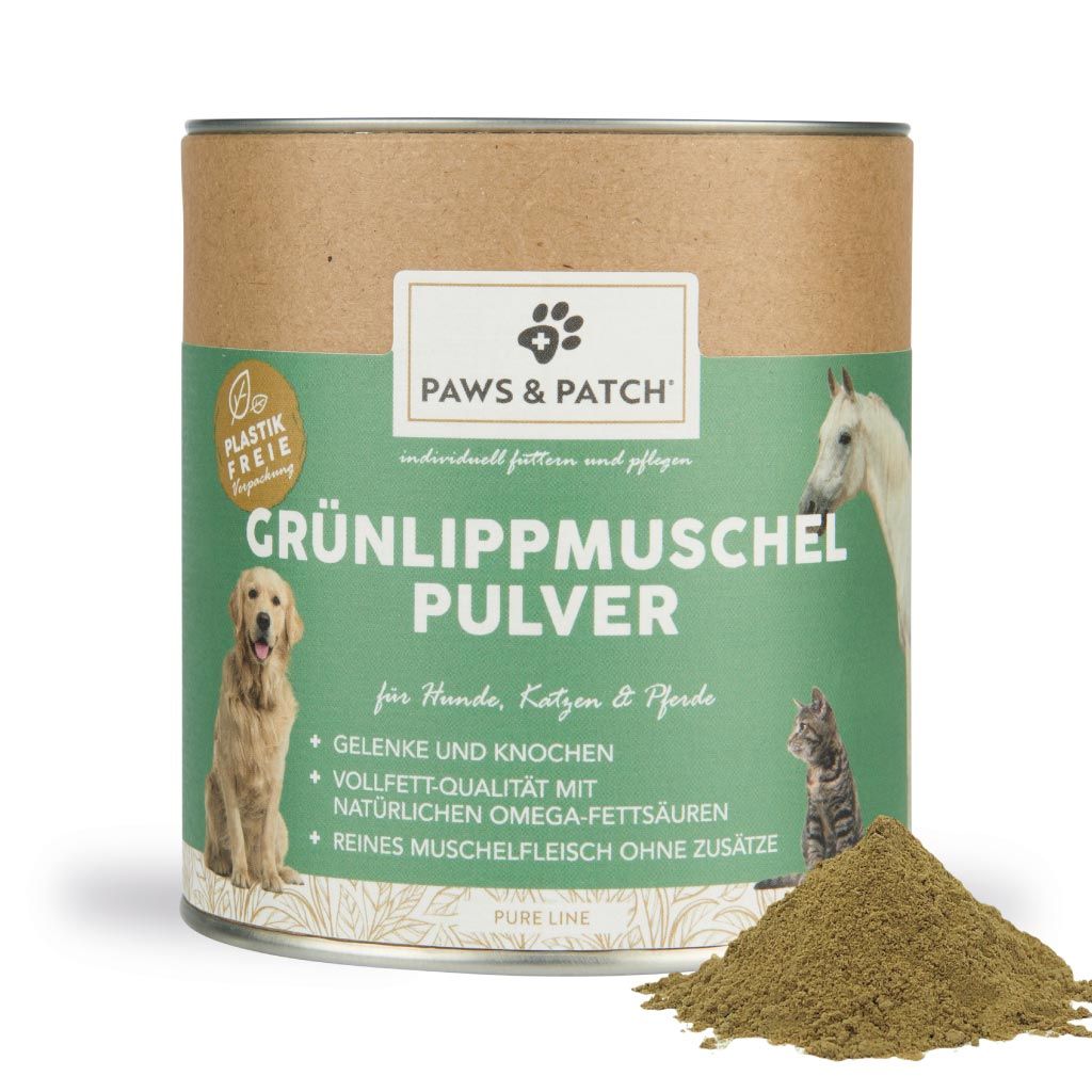 Hund Nahrungsergänzung