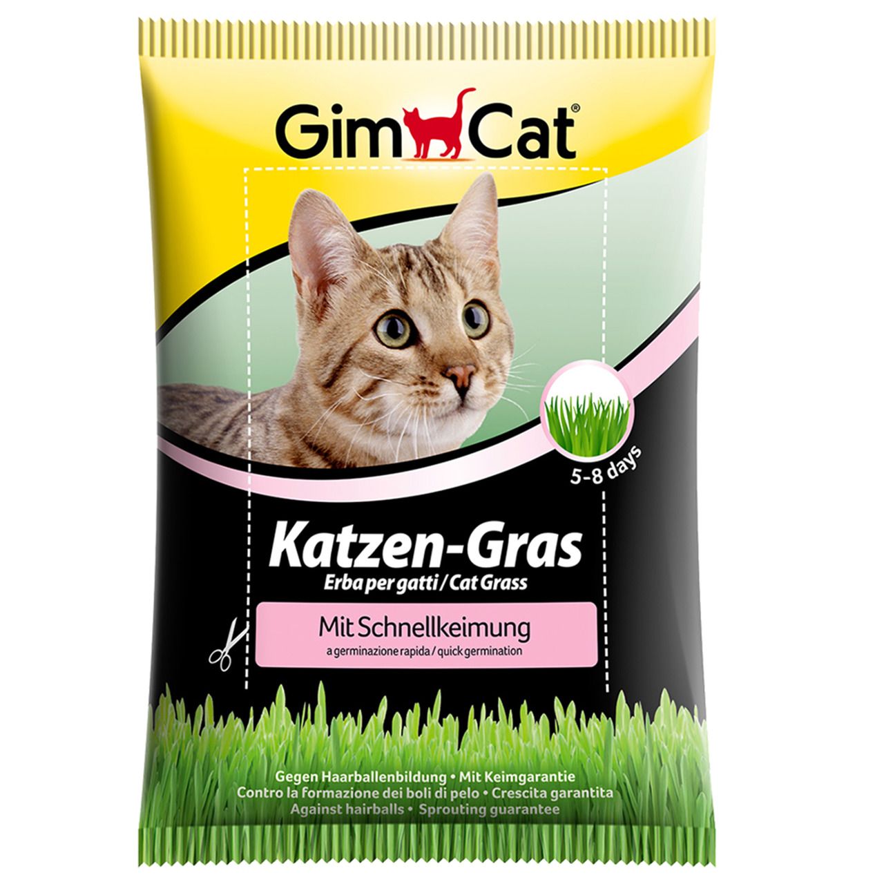 Katze Nahrungsergänzung