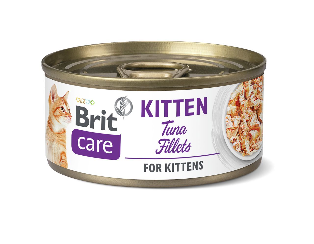 Katze Nassfutter