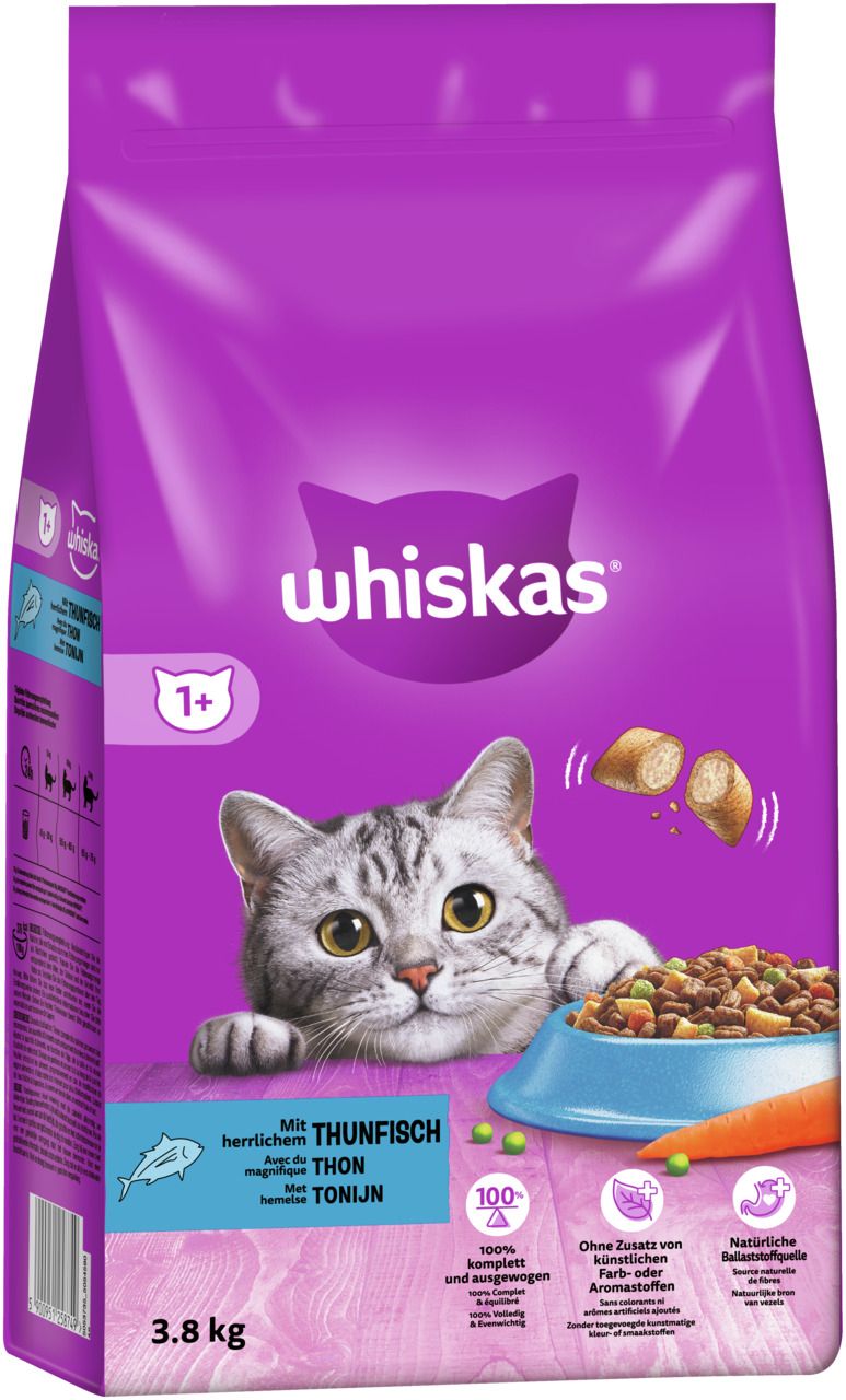 Katze Trockenfutter