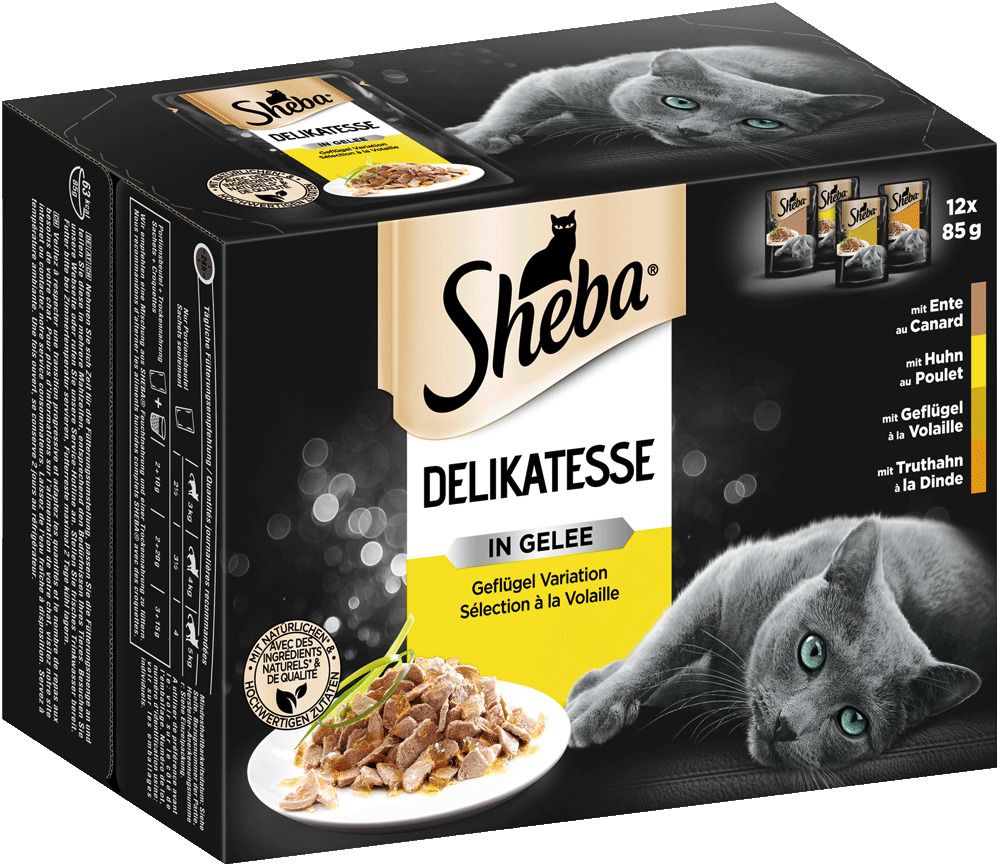 Katze Nassfutter