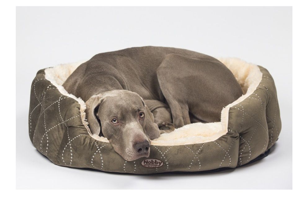 Neuheiten für Hunde
