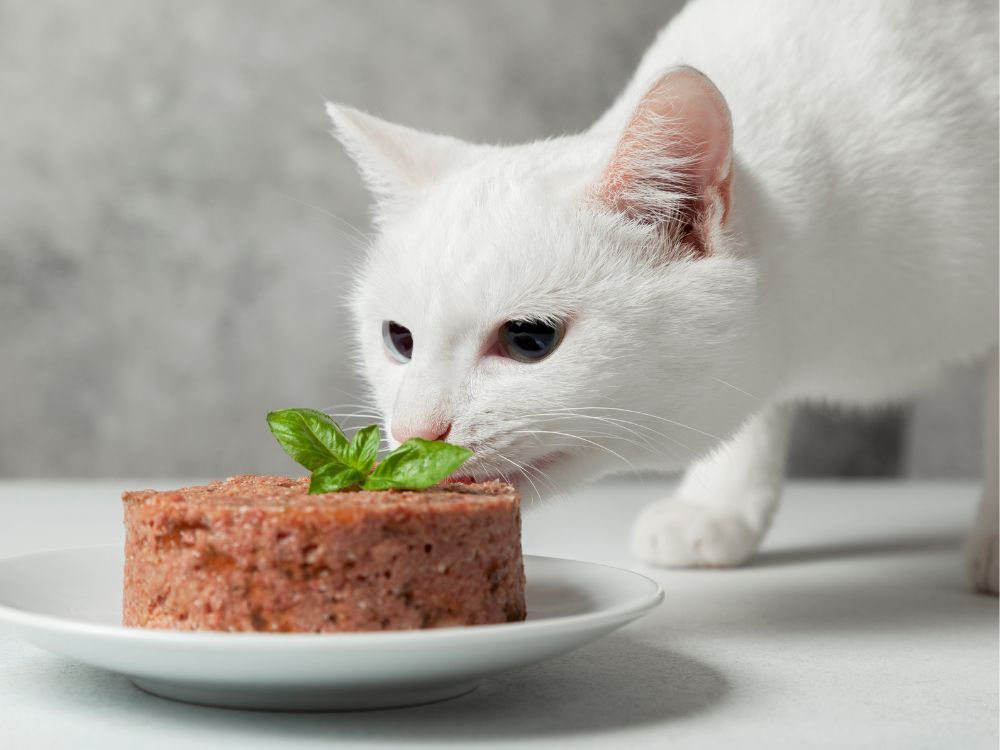 Diätfutter