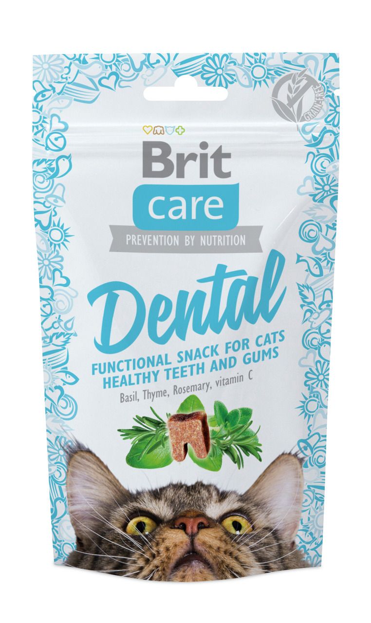 Katze Snacks