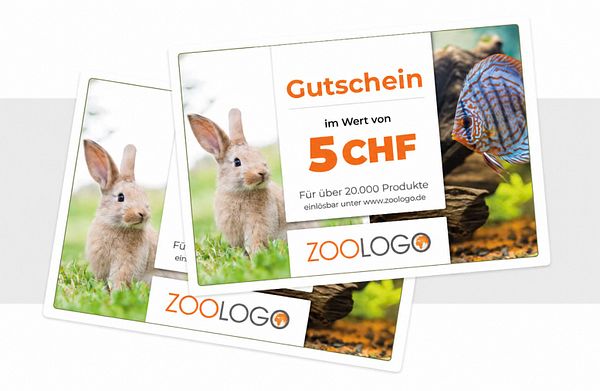 Footer Gutschein Bild