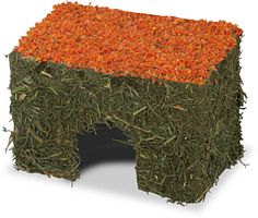 JR FARM Nager Heu-Haus mit Karotten Kleintiersnack / Zubehör