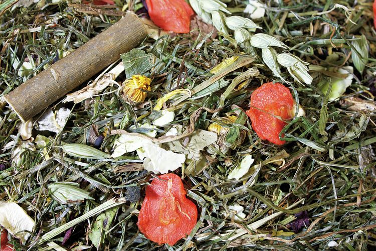 JR FARM Grainless Herbs Zwergkaninchen Kleintierfutter