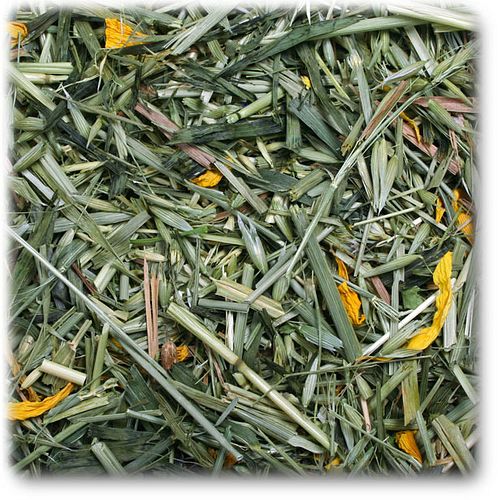 JR FARM Kornfeld 100g Raufutter für Kleintiere