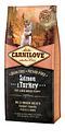 Vorschaubild CARNILOVE Puppy Large Breed Salmon & Turkey Hundetrockenfutter