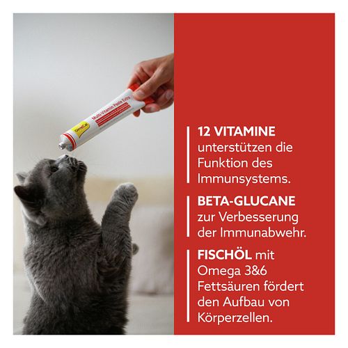 GimPet Cat Multi Vitamin Extra 50g