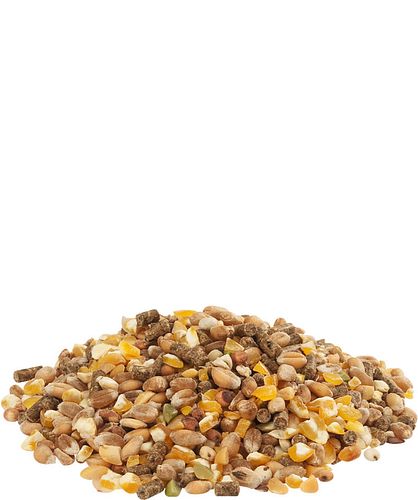 VERSELE-LAGA Gold 4 mix Getreidemischung 20kg