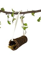 JR FARM Birds Weiden-Hirsetunnel 40g (1 Stück) Vogelsnack