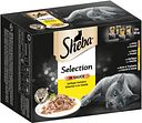 Vorschaubild Sheba Multipack Selection Sauce Geflügel Variation  12x85 Gramm Katzennassfutter