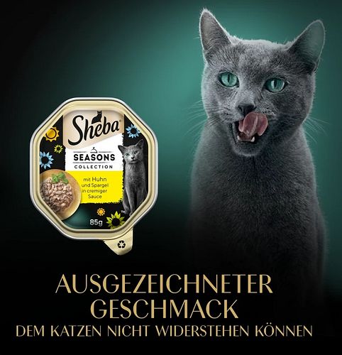 Sheba Seasons Collection wechselnde Sorten 22x85 g