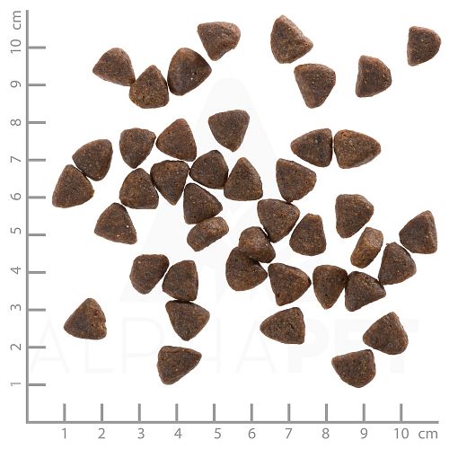 WOLFSBLUT Wide Plain Small Breed Pferdefleisch mit Süßkartoffel Hundetrockenfutter