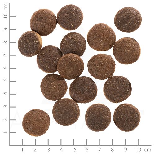 WOLFSBLUT Red Rock Kängurufleisch mit Süßkartoffeln Hundetrockenfutter