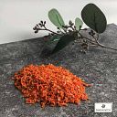 Vorschaubild Paws&Patch MOROSCHE KAROTTENSUPPE 150g