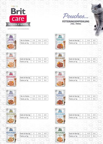 Brit Katze MultiPack 12 x 85g Fillets in Gravy