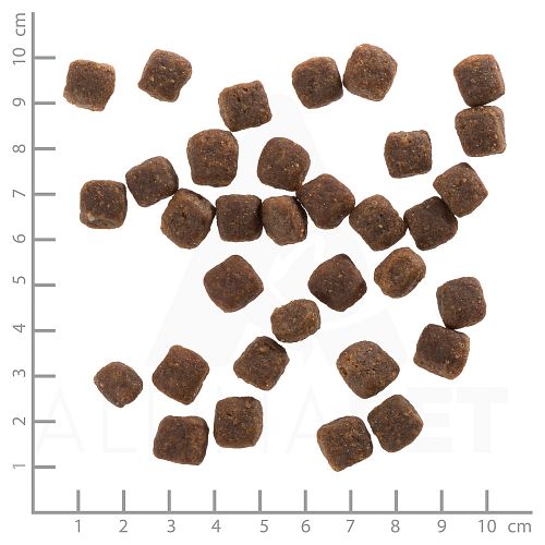 WOLFSBLUT Wild Duck Small Breed Entenfleisch mit Kartoffel Hundetrockenfutter