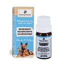 Vorschaubild Paws&Patch REIZBARKEIT Blütenmischung 10g