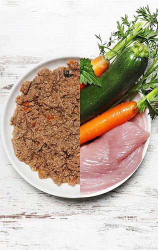 Dog's Love Senior 800g Dose Hundenassfutter