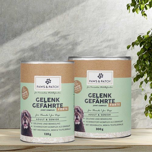 Paws&Patch GELENK GEFÄHRTE 120g Adult & Senior
