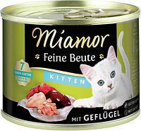Kitten Geflügel Varianten Bild