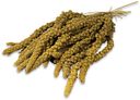 Vorschaubild JR FARM Kolbenhirse Gelb Vogelsnack