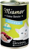 Kitten Geflügel Varianten Bild