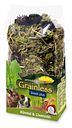 Vorschaubild JR FARM Grainless Plus 100g Kleintiersnack