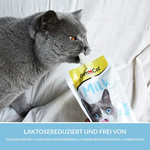 GimCat Milch Katzensnack