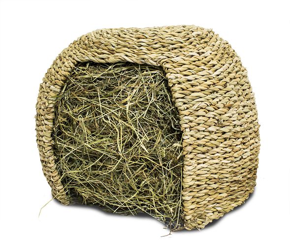 JR FARM Gras-Iglu Kleintiersnack