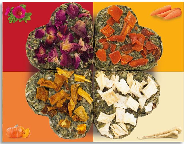 JR FARM Grainless Glücks-Quartett 60g Kleintiersnack