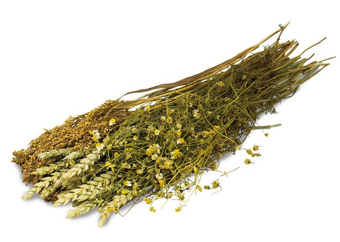 JR FARM Ein Stück Natur Kamillen-Ernte 80g Kleintierfutter