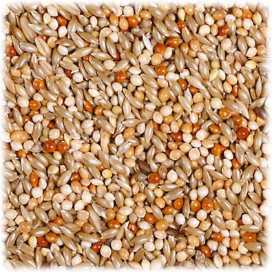 JR FARM Wellensittich-Schmaus 1kg Vogelfutter