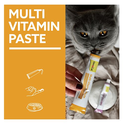 Gimpet Cat Multi-Vitamin 200g