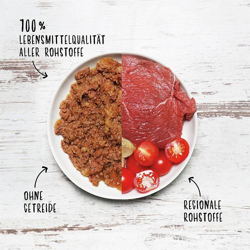 Dog's Love Hypoallergen 400g Dose Hundenassfutter