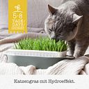 Vorschaubild GimCat Hydro-Gras 150g Nahrungsergänzung für Katzen