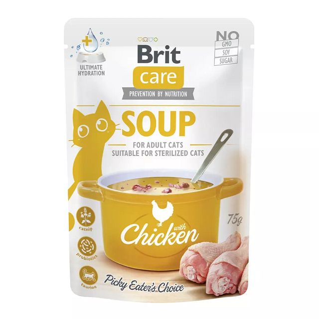 Brit Katze SoupVorschaubild
