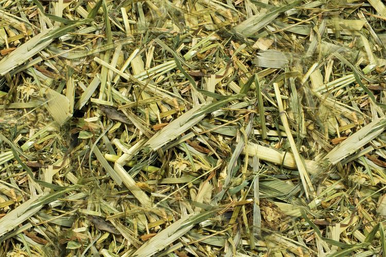 JR FARM Nager Kräutergarten Raufutter für Kleintiere