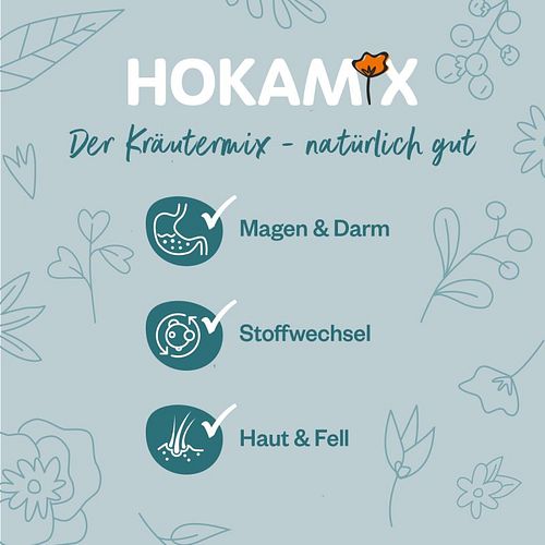 grau Hokamix30 Snack Maxi Nahrungsergänzung