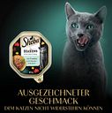 Vorschaubild Sheba Seasons Collection wechselnde Sorten 22x85 g