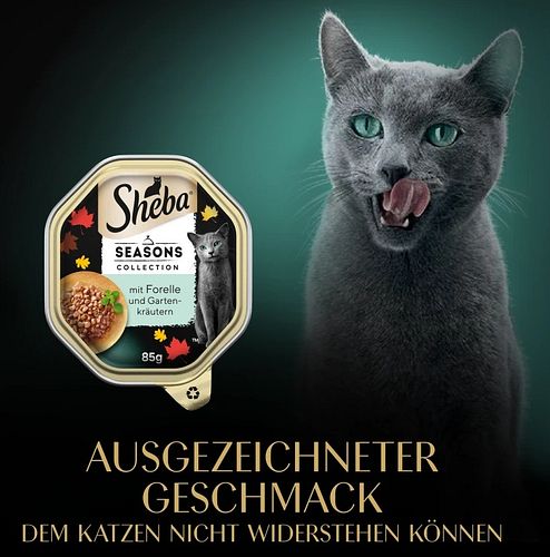 Sheba Seasons Collection wechselnde Sorten 22x85 g