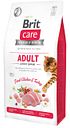 Vorschaubild Brit Care Fresh Chicken&Turkey getreidefrei Activity Katzentrockenfutter