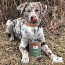 Vorschaubild Paws&Patch SEEALGENMEHL 250g