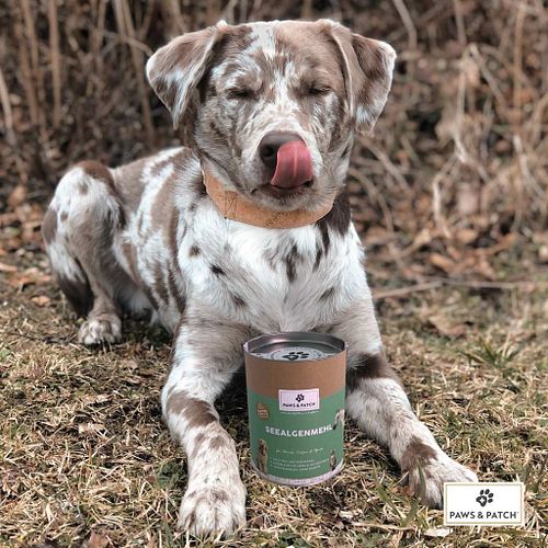 Paws&Patch SEEALGENMEHL 250g