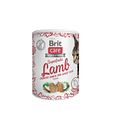 Brit Care Cat Superfruits - 100 Gramm KatzensnackVorschaubild