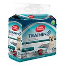 Vorschaubild Simple Solution Training Pads