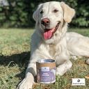 Vorschaubild Paws&Patch MSM PULVER 250g