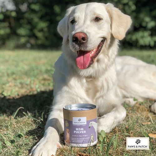 Paws&Patch MSM PULVER 250g